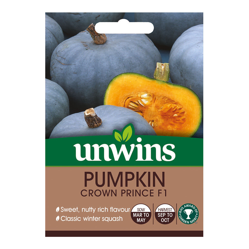 Unwins Pumpkin Crown Prince F1 - Approx 5 Seeds