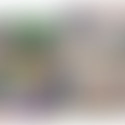 Climbing High and Having a Tree-mendous Time!