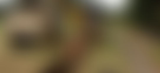 5 Common Trenching and Excavating Safety Hazards