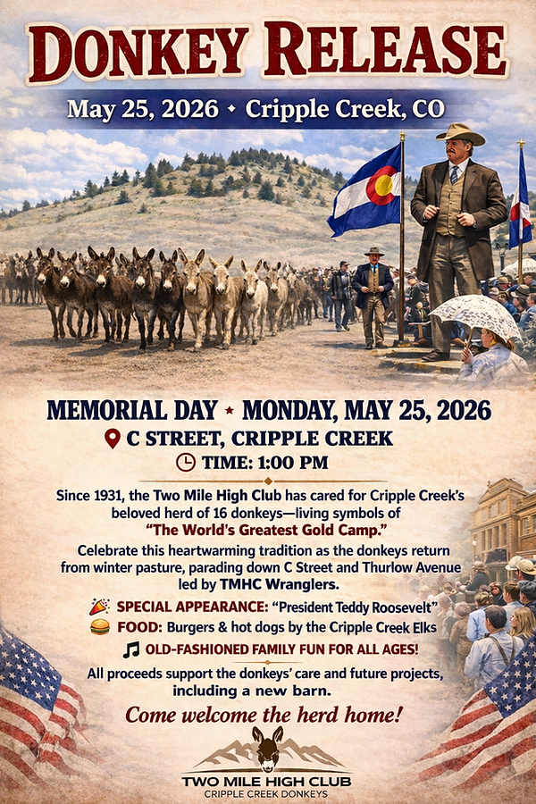 Donkey Release 2026.png