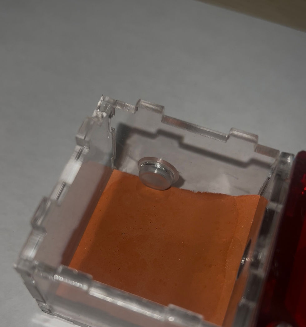 Miniatura: Nid plâtre small 