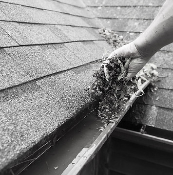 Cleaning%20a%20Rain%20Gutter_edited.jpg