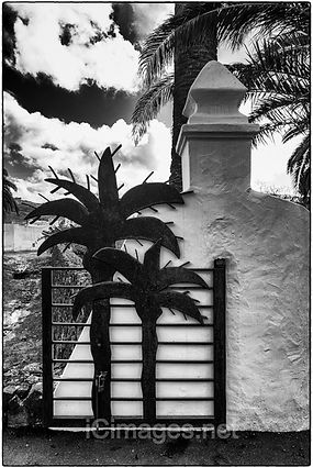 A black and white image of the palm tree gates to Cesar Manrique's home in Haria, Lanzarote