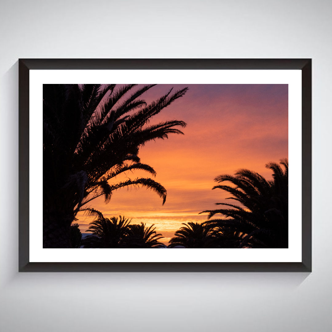 Palm Trees Sunset - Photographic Print