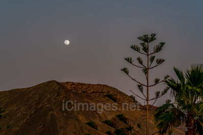A mesmerizing nighttime view of Montaña Roja in Playa Blanca, Lanzarote, with the moon glowing above. A tree in the foreground adds depth to the scene, its dark branches gently swaying in the night breeze. The rugged volcanic slopes of the mountain are faintly illuminated by moonlight, casting soft shadows, while the deep dark night sky creates a tranquil and atmospheric landscape.


