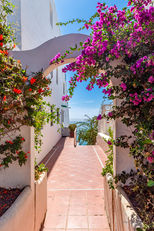This photograph showcases a charming alleyway in Puerto Del Carmen, beautifully framed by a vibrant arch of bougainvillea flowers in full bloom. The vivid pink and purple petals contrast against the whitewashed walls of the surrounding buildings, creating a picturesque scene. Beyond the floral archway, the alleyway opens up to a stunning view of the deep blue Atlantic Ocean, where the horizon meets the sky in a serene and captivating backdrop. The combination of natural beauty and coastal charm makes this a truly enchanting sight.