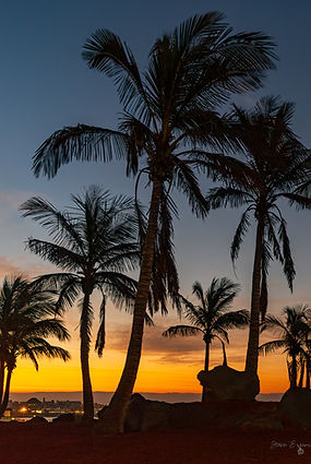 The sunrise through the tropical palm trees in Playa Blanca, Lanzarote, offering a serene and picturesque scene. As the sun rises over the horizon, its warm light filters through the palm fronds creating a perfect moment to appreciate the natural beauty of Lanzarote.