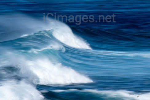 A powerful, deep blue ocean wave rising and curling, the dark sea beneath is textured with rippling currents and foamy white surf. The water’s translucent blue at the crest, where sunlight filters through. There is no sky in view—only the endless, surging motion of the sea, capturing the raw energy of an ideal surfing wave just before it crashes.

