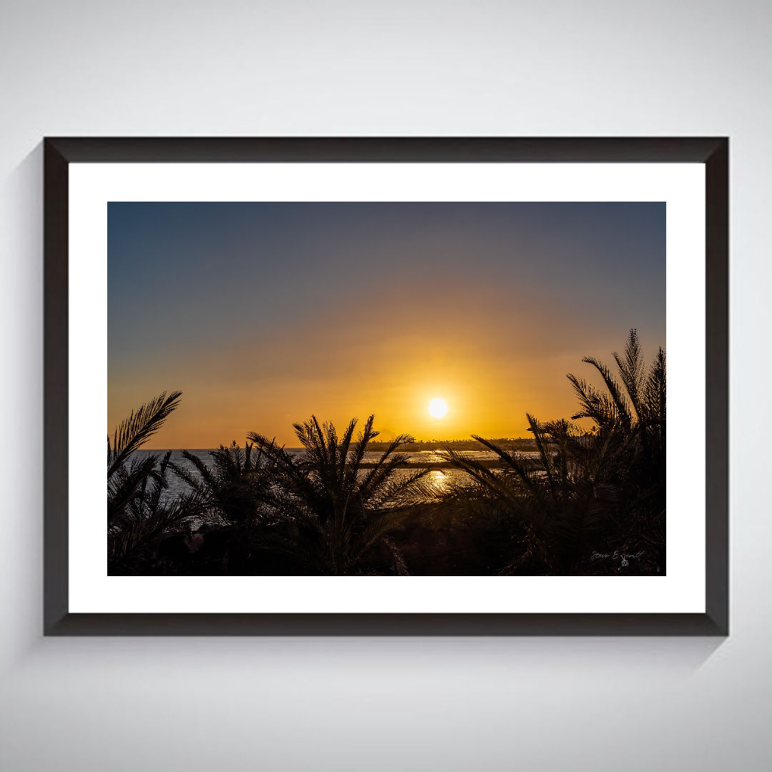 Sunset Palm Trees - Photographic Print