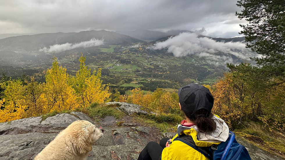 Mozhgan & Pluto, a rainy hike in Mollandsmarki