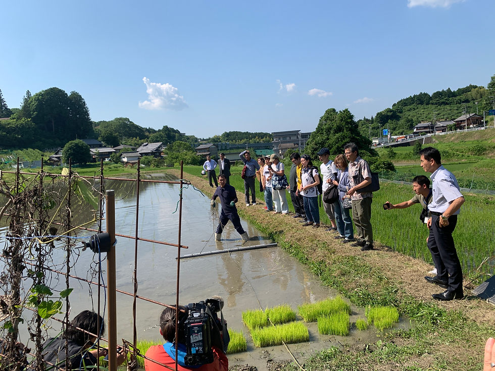 チェーン除草を実演する樫本さん