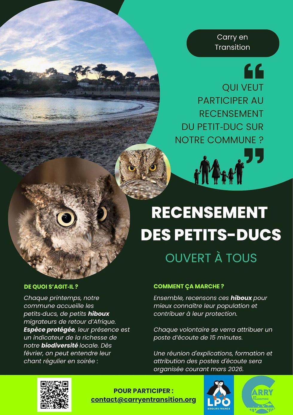 Le recensement 2026 du hibou petit-duc
