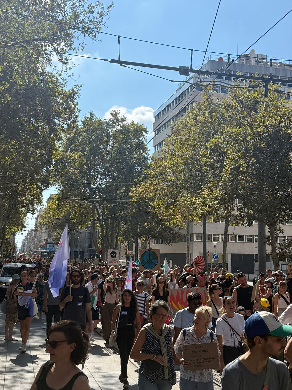 Le cortège de la marche pour le climat sur une avenue bordée de platanes à Marseille