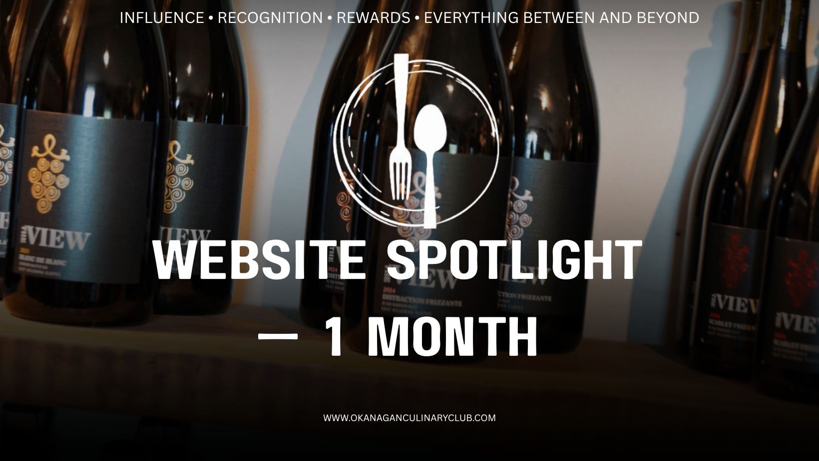 Website Spotlight — 1 Month