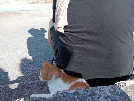 お盆の営業について