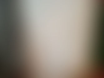 春ごはんと日本ワイン