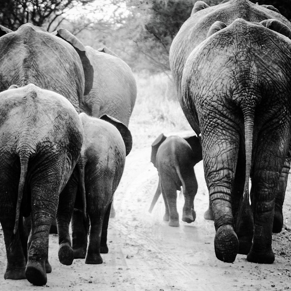 Stuck in a Hairy Situation