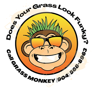 Graphic Design Image-03.png