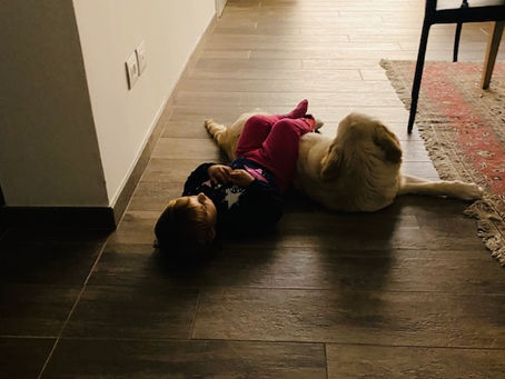 Sai a cosa serve la polizza Responsabilità Civile della Famiglia?