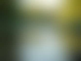 Navigating Anxiety: Effective CBT Techniques for Relief