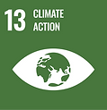CIMAR-LA supports research aligned with the Sustainable Development Goal number 13 - Climate Action