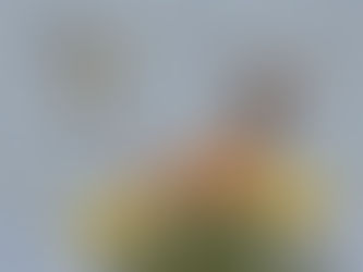 Arizona Inspires: A Celebration Of Creatives