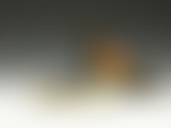 Artists have answered the "Call of the Wildlife" at Mountain Trails Gallery Sedona