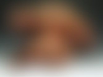 American Art Collective features wildlife sculptor Jeremy Bradshaw