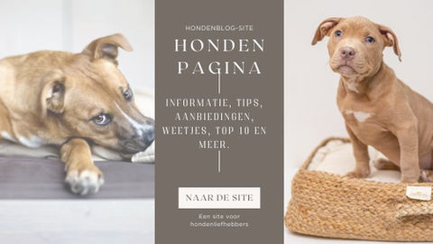 Hondenpagina van ons allemaal