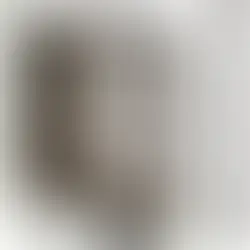Waarom een Kattenluik van K9 Shop?