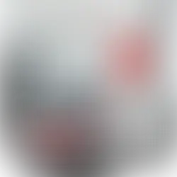 Rust voor uw hond tijdens vuurwerk