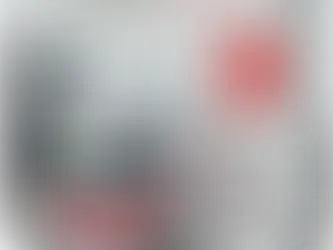 Rust voor uw hond tijdens vuurwerk