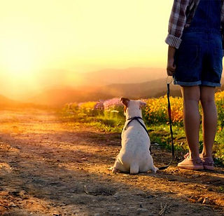 Vakantie met hond, huisdier, viervoeter, seizoensvakanties
