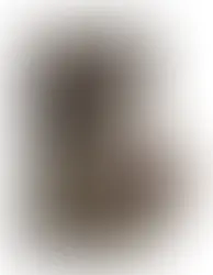 Leuke nieuwe hondensite