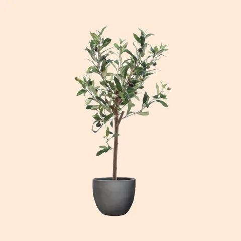 Breng een vleugje groen in je leven met kunstplanten zoals monstera en eucalyptus! Deze levensechte planten voegen een natuurlijke charme toe aan elke ruimte, of het nu gaat om je woonkamer, kantoor, terras of tuin. Geniet van het gemak van onderhoudsvrije groen zonder in te leveren op de frisheid en schoonheid van echte planten. Of je nu je binnenruimte wilt opfrissen of je buitenruimte wilt verfraaien, kunstplanten zijn de perfecte keuze voor een groenere levensstijl!