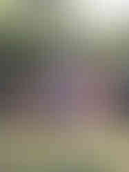 a large sculpture of a man with a heart on his chest