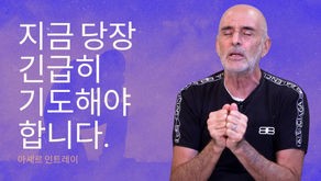 지금 당장 긴급히 기도해야 합니다.