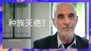 种族灭绝?!