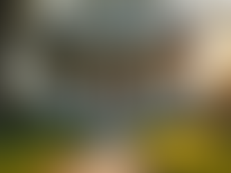 How to Choose the Right Loan Officer for You