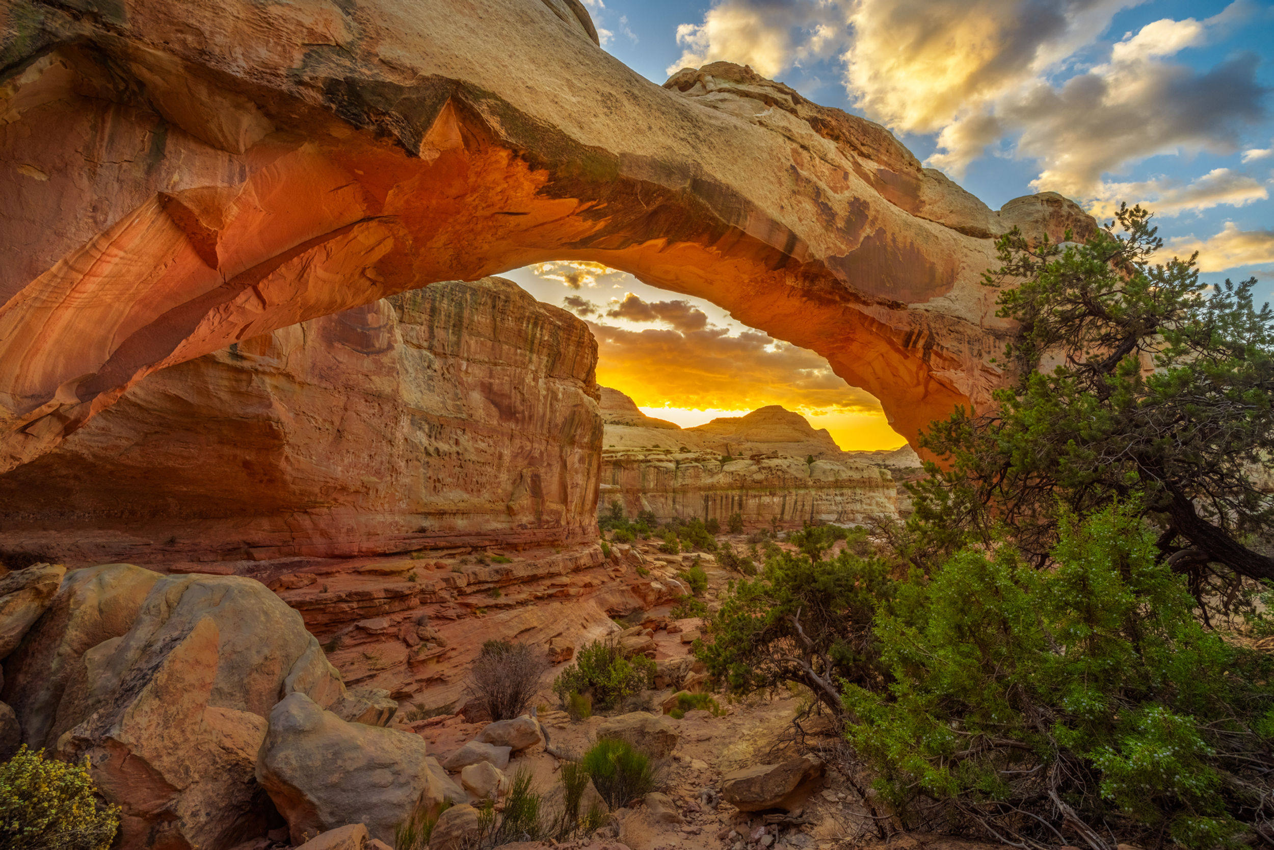 Golden Arch
