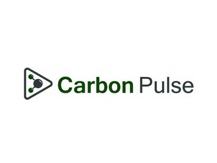 Carbon Pulse: Interview - Ghana forestry developer turning to biochar to help weather climate change impacts