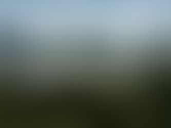 Cercarbono and Howden forge alliance to Carbon Credits Warranty and Indemnity (W&I) insurance offerings in AFOLU projects.