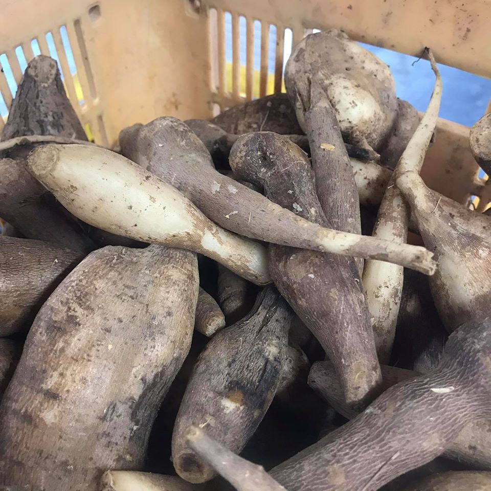 ヤーコンシロップ