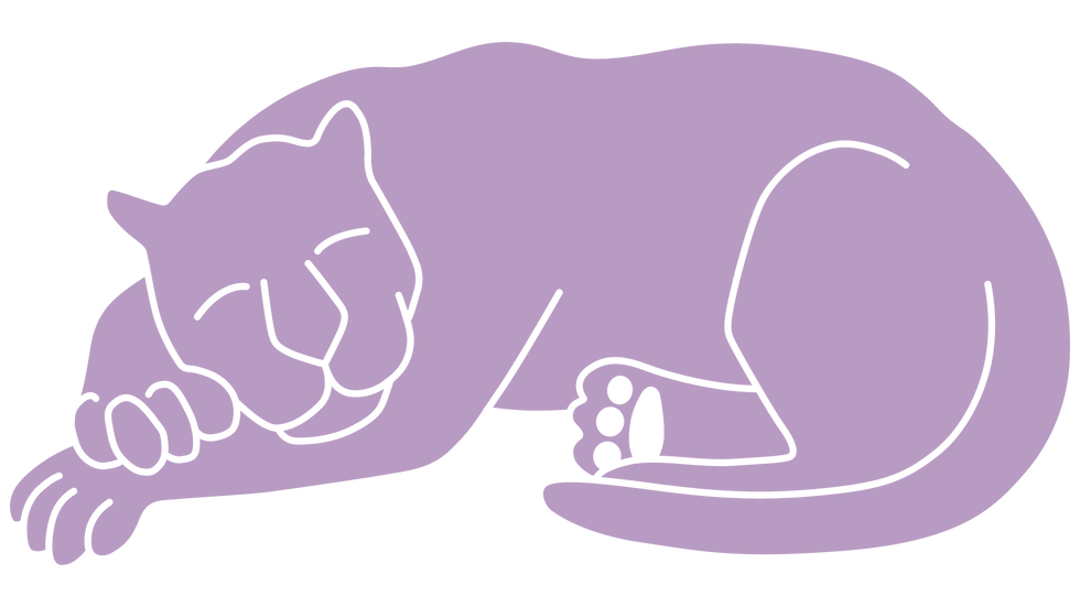 Big panther web.png
