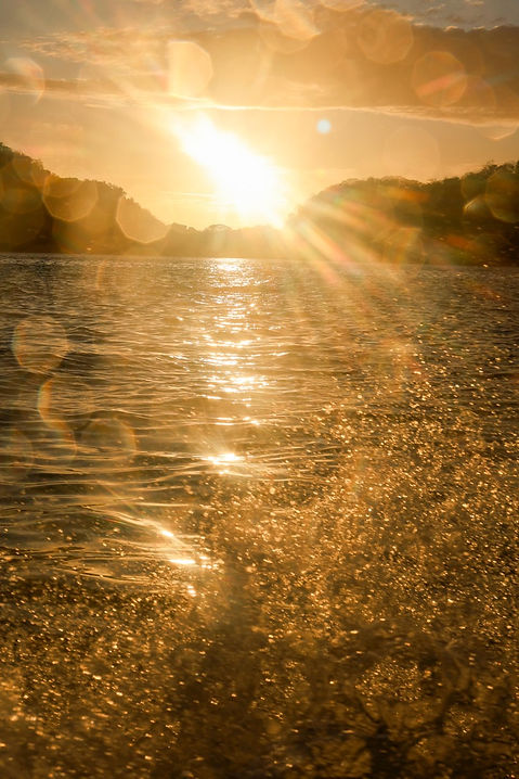 561A550D-2DCD-4363-A166-F2DC74AD9F9E_1_105_c.jpeg