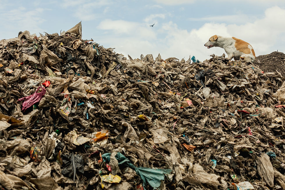 On Nut Waste Disposal Plant