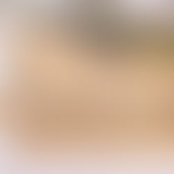 Welcome to the Treetop Treasures Blog!