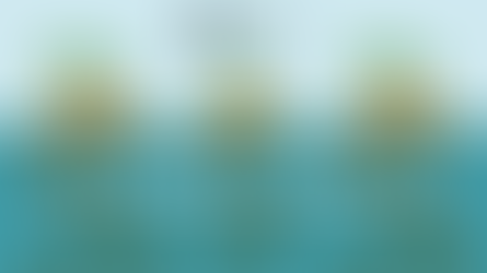 Offshore Banking: A Tax Haven