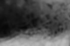 Gallery_0013.jpg