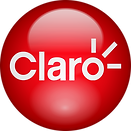 logo claro.png